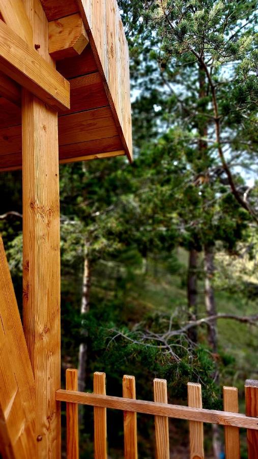 Chalet L'Empreinte Saint-Étienne-de-Tinée Eksteriør billede